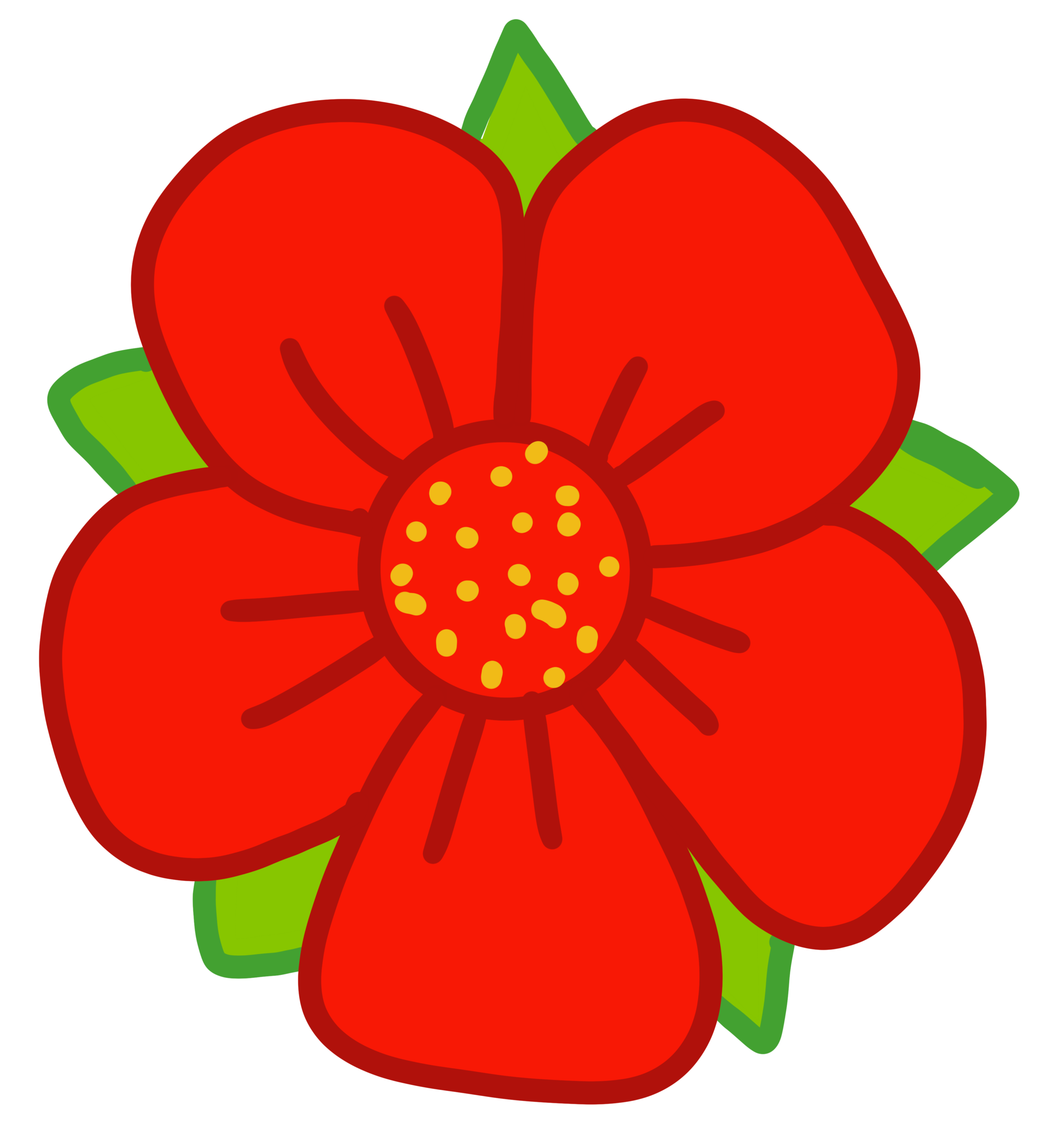 lancashire-rose