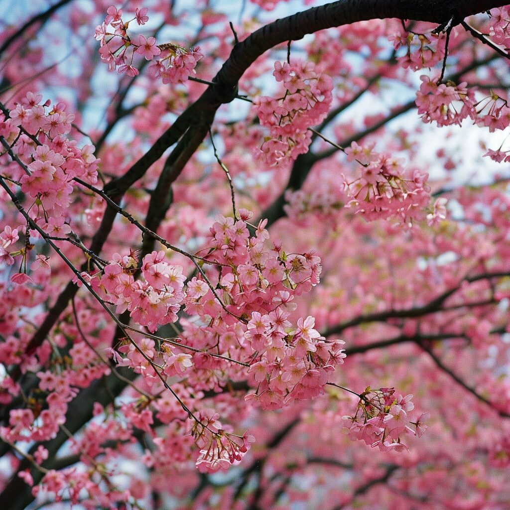 The Meaning of Color